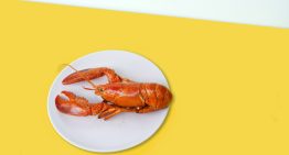 Durante décadas nos hemos contado que el marisco no siente dolor al ser hervido. Nos equivocábamos gravemente