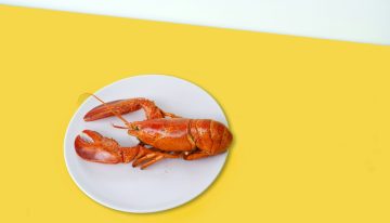 Durante décadas nos hemos contado que el marisco no siente dolor al ser hervido. Nos equivocábamos gravemente