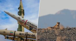 El felino más raro y escaso del planeta ha encontrado el clavo para el ataúd que le faltaba: la guerra de Irán