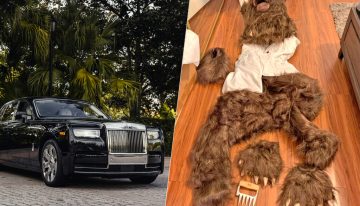 Ponerse un traje de oso para defraudar más de 141.000 dólares a un seguro de coche parecía creíble. Hasta que dejó de serlo