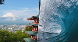 Ante el precio prohibitivo del petróleo, Japón mira al océano: tiene un plan para convertir las olas en electricidad