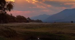 La malaria determinó la distribución de las primeras poblaciones humanas