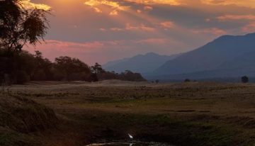 La malaria determinó la distribución de las primeras poblaciones humanas