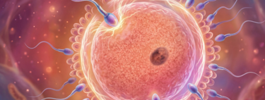 Si te preocupa la calidad de tus espermatozoides, la ciencia tiene una receta clara para ti: eyacula más