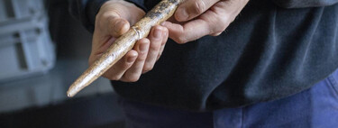 Lo sorprendente no es que llevemos 20.000 años fabricando cosas con hueso de ballena. Es que empezamos antes de aprender a cazarlas