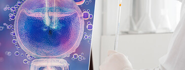 Ya no basta con congelar óvulos y esperar: la IA entra en las clínicas para decirte su potencial real