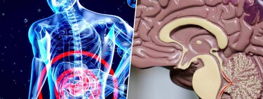 El cuerpo avisa del alzhéimer mucho antes que el cerebro. La pista está en el intestino