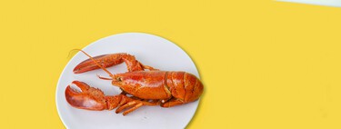 Durante décadas nos hemos contado que el marisco no siente dolor al ser hervido. Nos equivocábamos gravemente