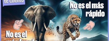 Los animales más temibles del mundo: cuando la naturaleza es mucho más peligrosa que el ser humano