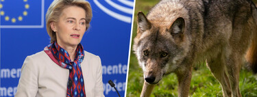El lobo está perdiendo parte de su blindaje internacional. Y en gran medida se lo debe al poni de Von der Leyen