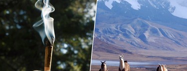 Drogarse no es un vicio moderno: hace 4.000 años ya había gente haciéndolo en las profundidades de los Andes