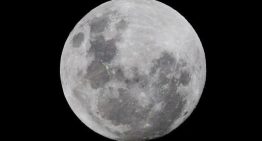 Mayo de 2026, el mes con doble luna llena: fechas, horas y dónde ver la Luna de flores y la Luna azulqué significan la Luna de flores y la Luna azul