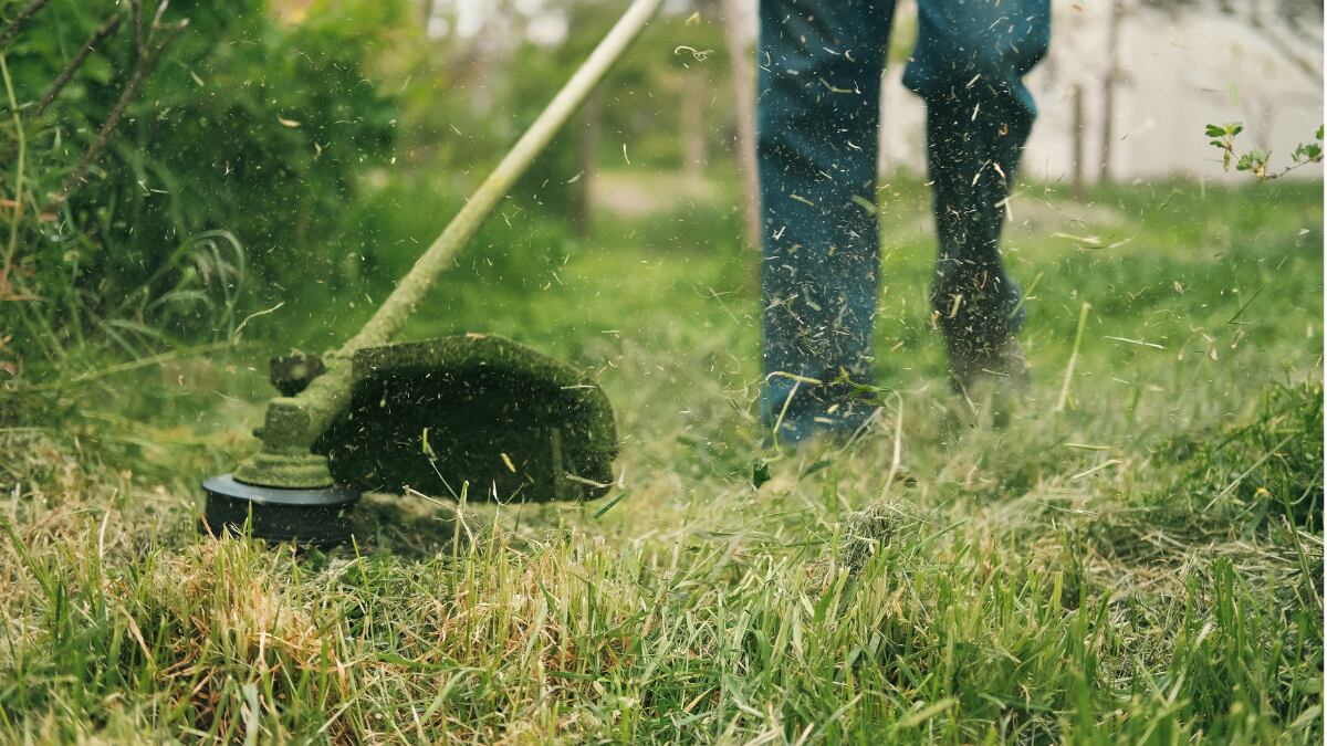 Hombre utilizando una desbrozadora en el jardín.