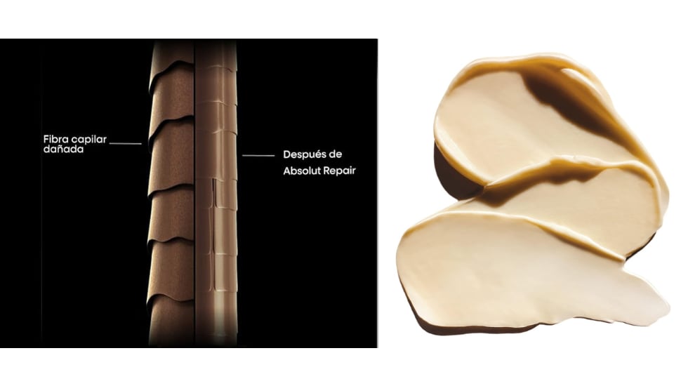 Reconstruye desde el interior.