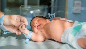 El Hospital Clínico San Carlos investiga la fabricación de un jarabe con cannabidiol para el daño cerebral en recién nacidos