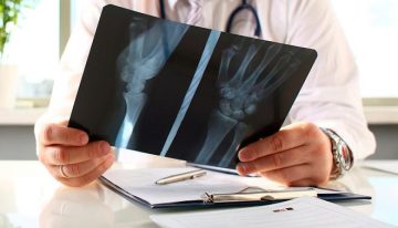 ¿Sabías que tus huesos están vivos y se renuevan constantemente? Descubre los secretos de tu esqueleto