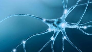 Una neuropediatra destaca la importancia del diagnóstico precoz del autismo en el desarrollo infantil