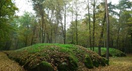 Unos arqueólogos han dado con algo insólito mientras inspeccionaban tierras de cultivo: túmulos funerarios de hace 5.000 años