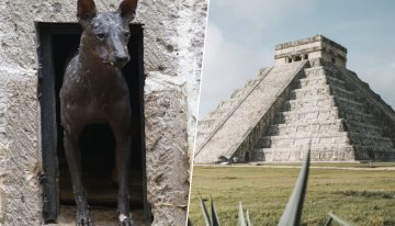 Unos huesos encontrados en México nos han revelado una nueva faceta de los mayas: comerciantes de perros «exóticos»