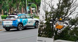 He viajado en taxi autónomo y un dron me ha traído el bubble tea: así es un jueves cualquiera en Shenzhen