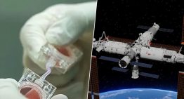 China quiere ganar la otra carrera espacial: la de tener bebés en el espacio