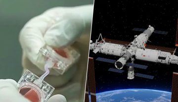 China quiere ganar la otra carrera espacial: la de tener bebés en el espacio