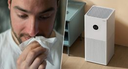 No todo es el filtro: qué es el CADR y por qué es el único dato en el que me fijaría al elegir un dispositivo contra la alergia