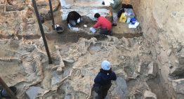 La civilización tartésica es uno de los grandes enigmas de la península. Ahora está desvelándose desde un pueblo de Badajoz