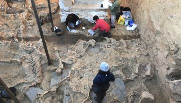 La civilización tartésica es uno de los grandes enigmas de la península. Ahora está desvelándose desde un pueblo de Badajoz