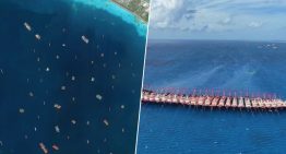 Argentina y Taiwán tienen cientos de barcos pesqueros de China de frente. Y ninguno ha lanzado al mar sus redes para pescar