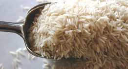 Llevamos 9.000 años cultivando arroz bajo la misma regla térmica. Estamos a punto de romperla para siempre