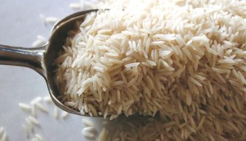 Llevamos 9.000 años cultivando arroz bajo la misma regla térmica. Estamos a punto de romperla para siempre