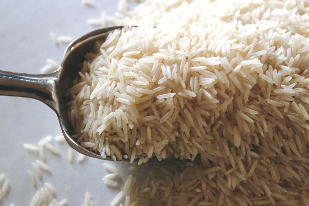 Llevamos 9.000 años cultivando arroz bajo la misma regla térmica. Estamos a punto de romperla para siempre