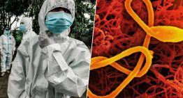 Habíamos visto muchos brotes de ébola en África central, probablemente ninguno como este