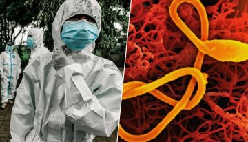 Habíamos visto muchos brotes de ébola en África central, probablemente ninguno como este
