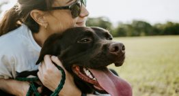 Si sientes culpa cada vez que dejas a tu perro solo en casa, la ciencia tiene una explicación (y un par de soluciones)