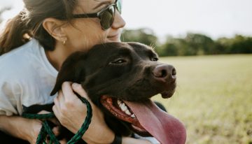 Si sientes culpa cada vez que dejas a tu perro solo en casa, la ciencia tiene una explicación (y un par de soluciones)
