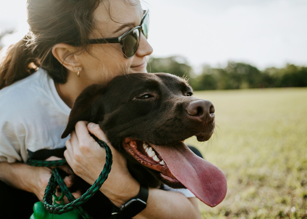 Si sientes culpa cada vez que dejas a tu perro solo en casa, la ciencia tiene una explicación (y un par de soluciones) 