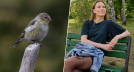 Unos científicos han descubierto algo extraño: a los pájaros de las ciudades les dan más miedo las mujeres que los hombres