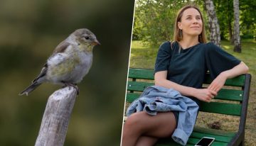 Unos científicos han descubierto algo extraño: a los pájaros de las ciudades les dan más miedo las mujeres que los hombres