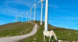En Euskadi creen tener la solución a la oposición de los vecinos a la eólica. Que se lleven un 7% de sus beneficios