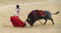 Si la pregunta es cómo frenar la sangría de la España vaciada, en Cantabria lo tienen claro: subvencionando fiestas con toros