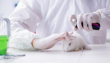 El Zoo de Barcelona financia con más de 52.000 euros proyectos de cuatro investigadoras