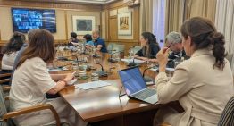 Sanidad y las comunidades aprueban el reparto de 39 millones para salud mental y casi 18 para prevenir el suicidio