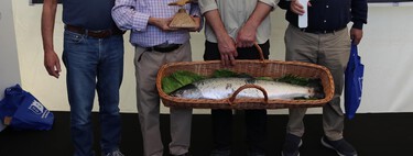 Ya es oficial: Asturias se queda sin “campanu” por primera vez en la historia porque no hay salmones en los ríos