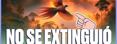 Aves, jabalís y hasta una almeja prehistórica: estas son algunas de las especies que regresaron de la extinción