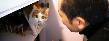 Llevamos toda la vida intentando entender a los animales: Baidu cree tener la clave y lo ha registrado en una nueva patente