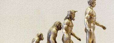 Las partes del cuerpo humano que no tienen sentido práctico: el fascinante mundo de los vestigios de la evolución