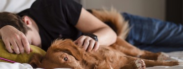 Llevamos décadas obsesionados con dormir "ocho horas" cada noche para descansar. Y ahí reside el problema