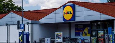 Mañana lunes, 11 de mayo, llega a Lidl la herramienta potente y barata para limpiar el jardín sin esfuerzo